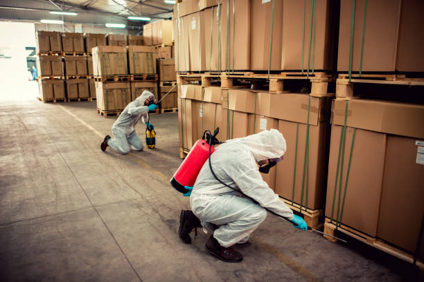 Best Bed Bug Extermination  in Manchester, MO
