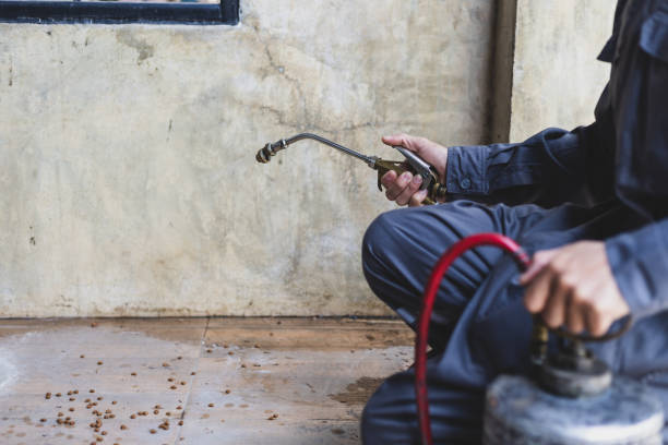 Best Best Pest Control Companies  in Manchester, MO